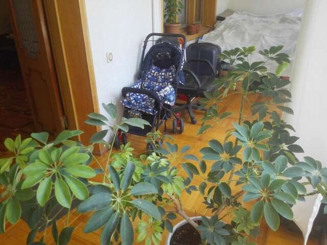 Апартаменты Center Baku Fantain sq. Баку-10